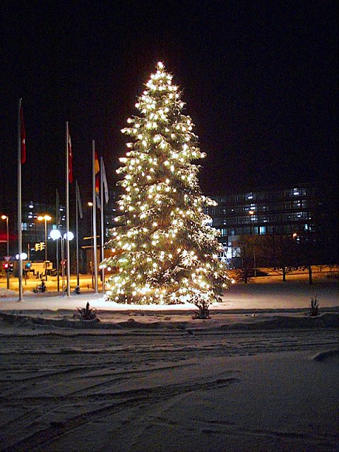 Weihnachtszeit   0054.jpg